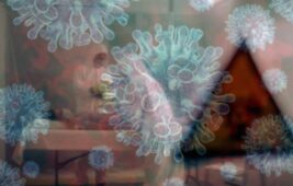 Yeni Kuş Gribi Salgını Can Aldı: H5N5 Virüsü İlk Kez İnsanda Görüldü