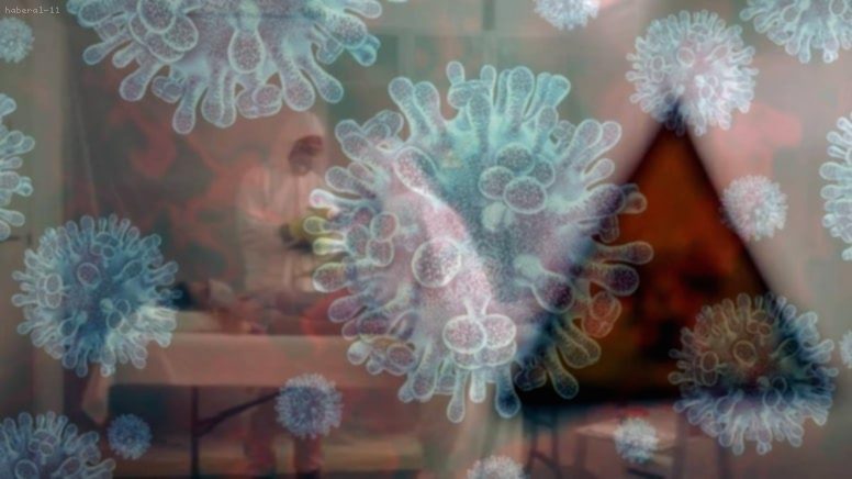 Yeni Kuş Gribi Salgını Can Aldı: H5N5 Virüsü İlk Kez İnsanda Görüldü