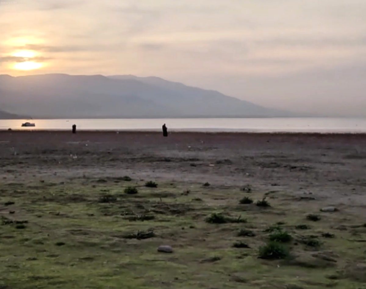 Kuraklık Alarmı: Sapanca Gölü'nde Acı Gerçek Gözler Önüne Serildi!