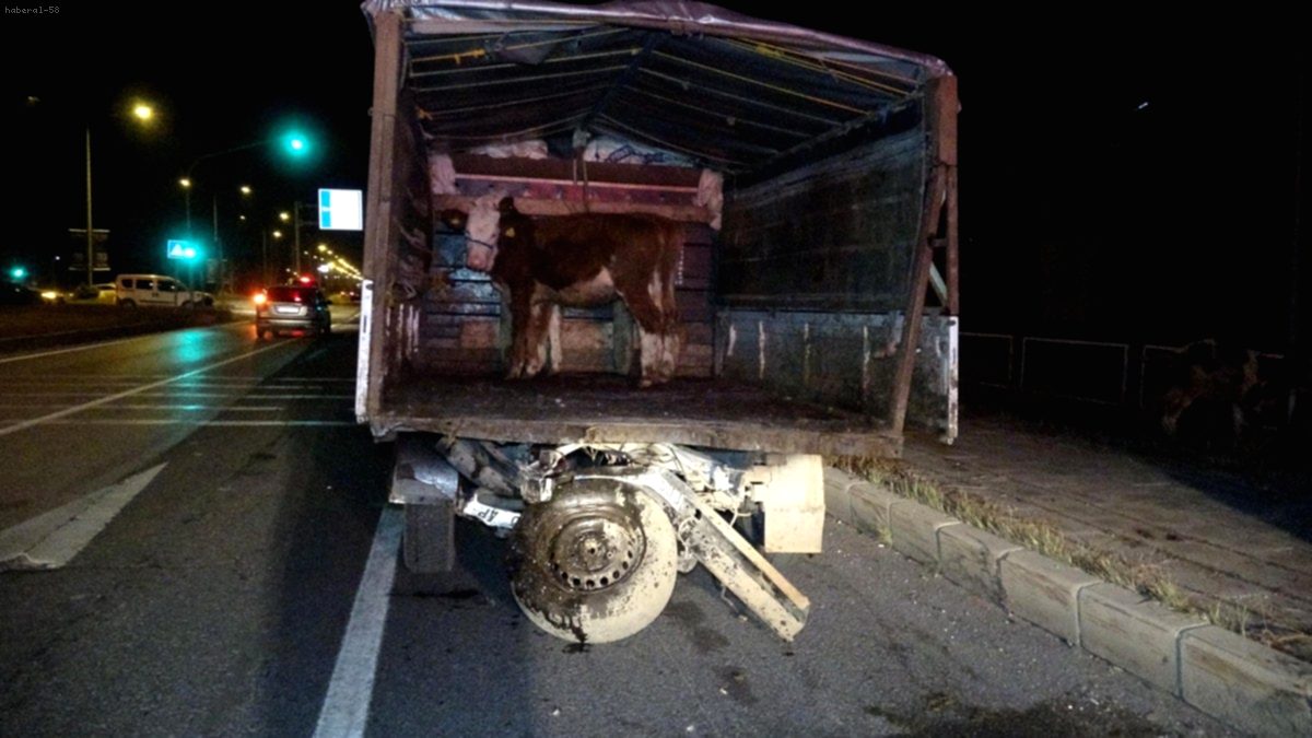 Erzurum'da Feci Kaza: Otomobil Hayvan Yüklü Kamyonete Çarptı, Ölü ve Yaralılar Var