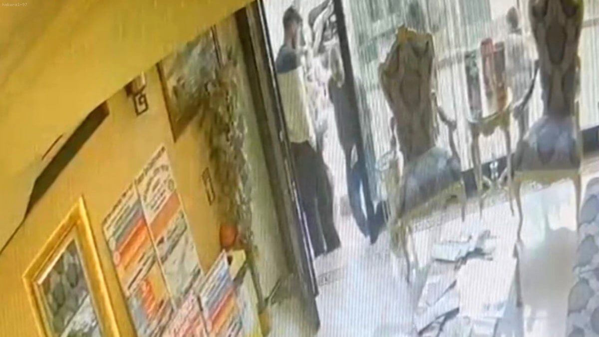 Fatih’teki Zehirlenme Faciası: Böcek Ailesinin Ölümüne Giden Süreç