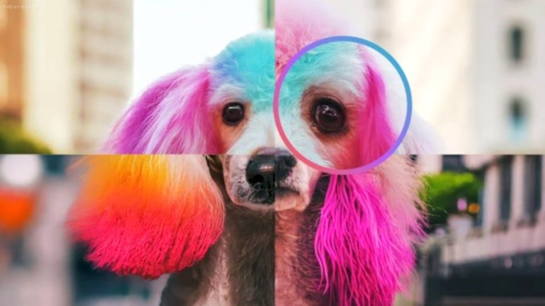 Google’dan Yapay Zeka Hamlesi: Gemini ile AI Görseller Anında Tespit Ediliyor!