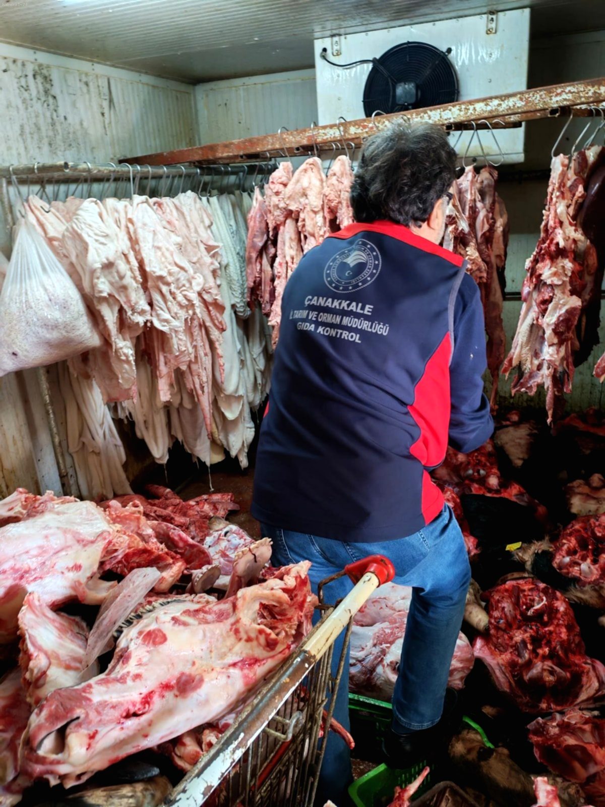 Çanakkale'de Mide Bulandıran Görüntüler: Halk Sağlığı Hiçe Sayıldı!