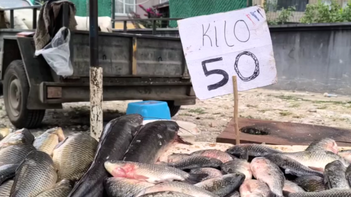Osmaniye'de Uygun Fiyatlı Balıklar Rağbet Görüyor: Kırmızı Et Alamayan Balığa Yöneldi