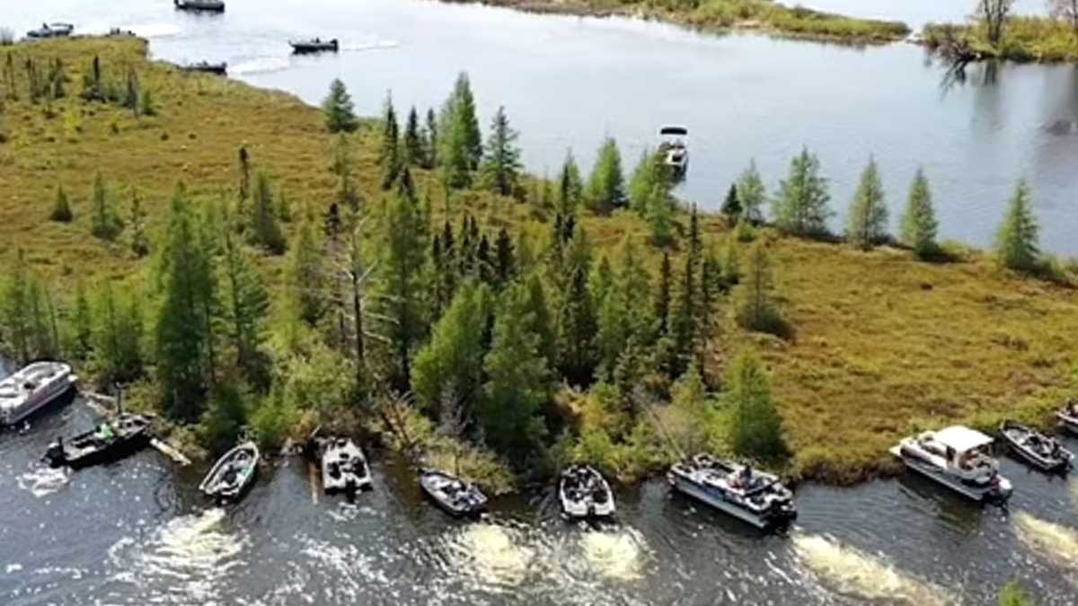 Gezgin Ada Halkı Peşine Taktı: İttire Kaka Yerine Sabitlediler!