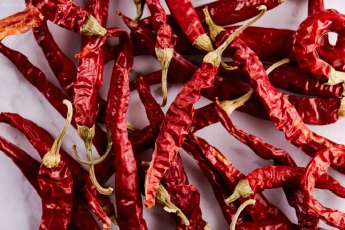 Acı Biber Tarlasında Görme Kaybı Şoku: Çiftçiler Kör Oldu!