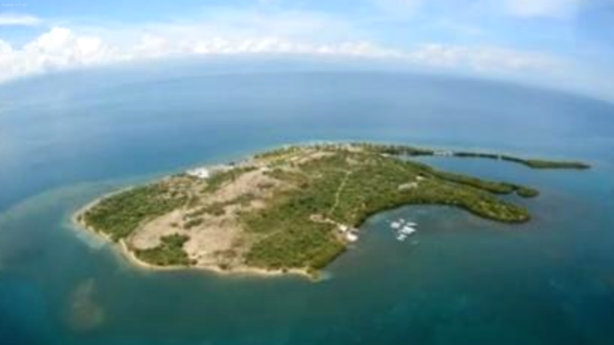 Evsizlerden Ordu Kurup Kadınları Seks Kölesi Yapacaklardı: Dehşet Planı İfşa Oldu