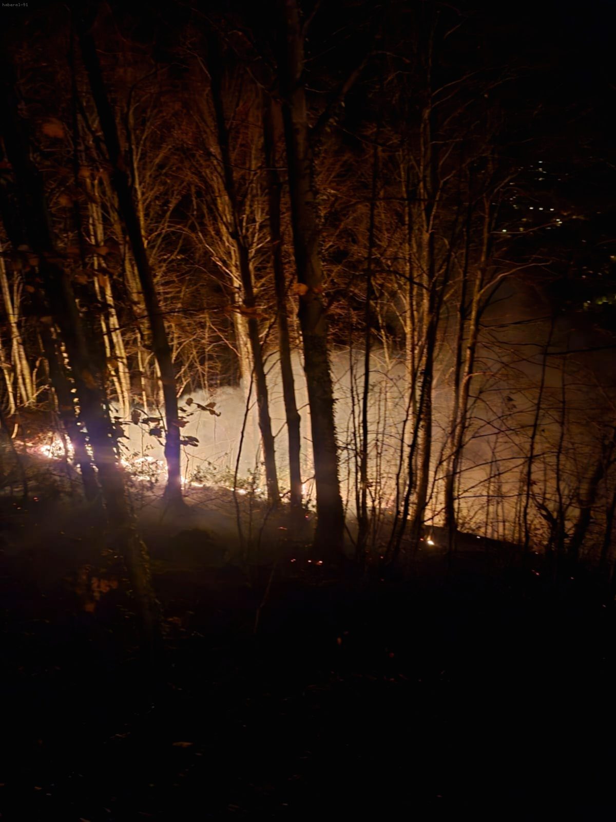 Ordu'da Kontrolden Çıkan Örtü Yangını Ormana Sıçradı