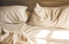 Eski Yastıklar Sanılandan Daha Çok İşe Yarıyor: Çöpe Atmadan Önce İki Kere Düşünün!