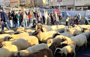 Ünlü Ekonomistten Altın Yatırımcılarına Kritik Uyarı: O Seviyeyi Görürse 8 Saat Bekleyin!