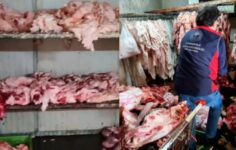 Çanakkale’de Mide Bulandıran Görüntüler: Halk Sağlığı Hiçe Sayıldı!