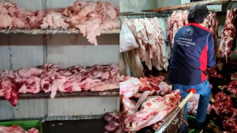 Çanakkale’de Mide Bulandıran Görüntüler: Halk Sağlığı Hiçe Sayıldı!