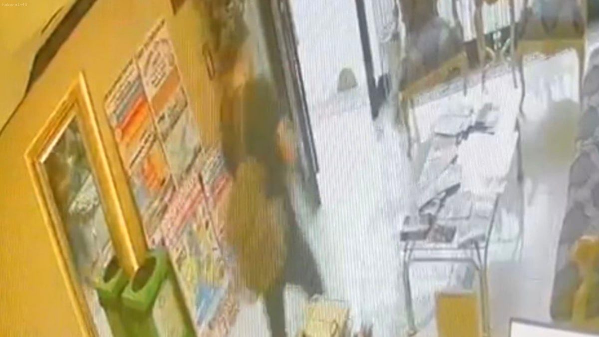 Fatih'teki Zehirlenme Faciası: Böcek Ailesinin Ölümüne Giden Süreç