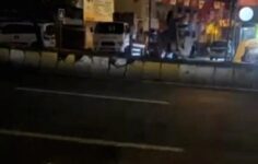 MHP Bayraklarına İmralı Tepkisi: Kadın Bıçakla Kesti