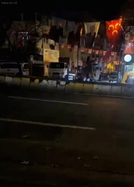 MHP Bayraklarına İmralı Tepkisi: Kadın Bıçakla Kesti