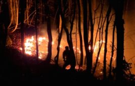 Ordu’da Kontrolden Çıkan Örtü Yangını Ormana Sıçradı