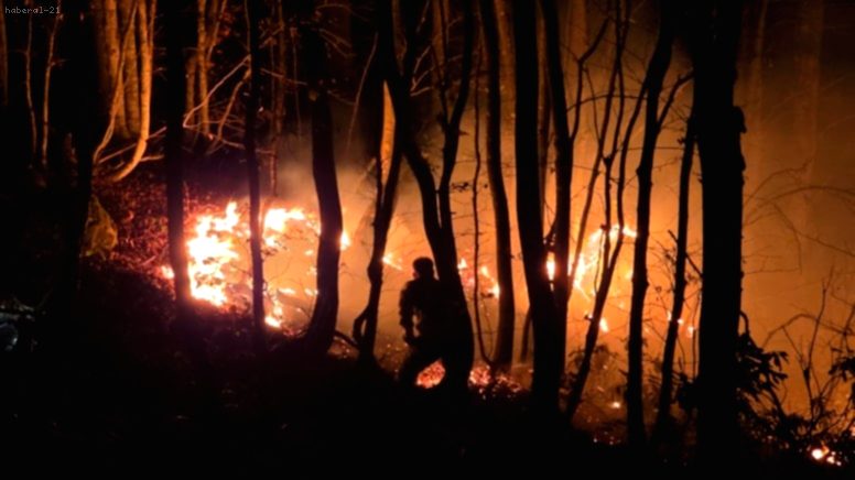 Ordu’da Kontrolden Çıkan Örtü Yangını Ormana Sıçradı