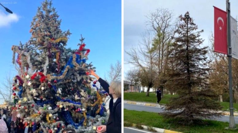 YTÜ’de Yılbaşı Ağacına Kezzap Saldırısı İddiası!