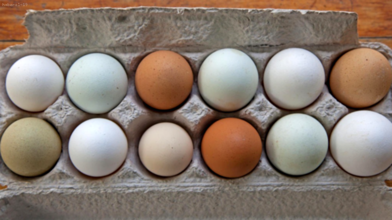 Horoz Yumurtası Mı? En Sağlıklı Yumurta Sandığınızdan Farklı!