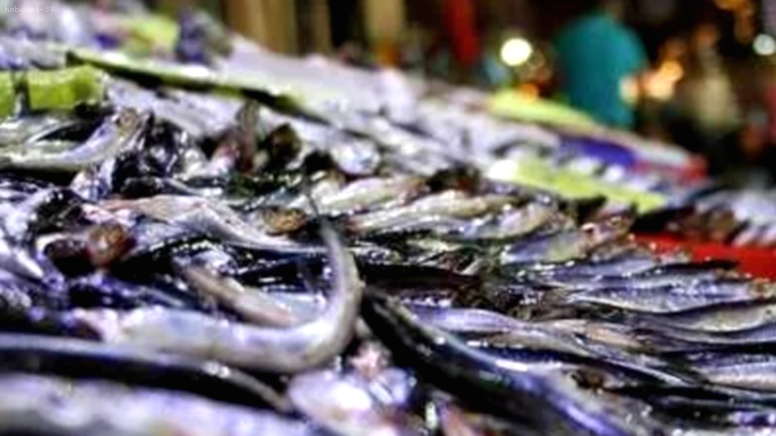 Osmaniye’de Uygun Fiyatlı Balıklar Rağbet Görüyor: Kırmızı Et Alamayan Balığa Yöneldi