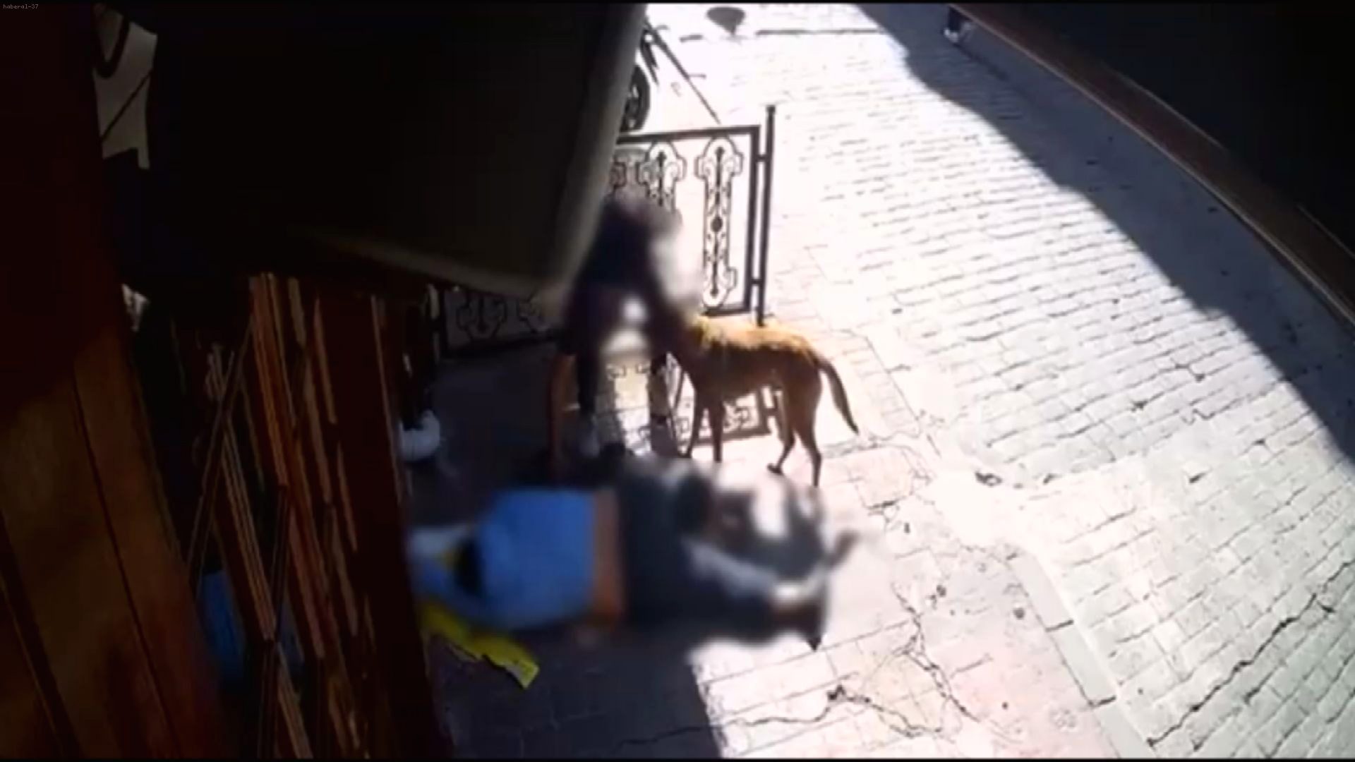 Vicdansızlık Kamerada: Epilepsi Nöbeti Geçiren Vatandaşın Eşyaları Çalındı