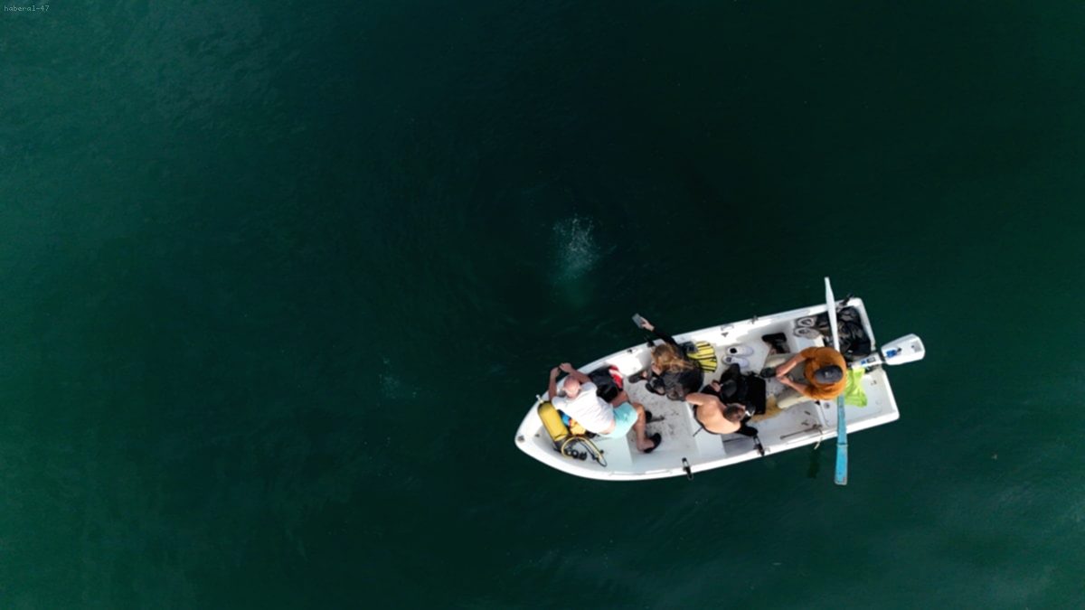 Serdivan Gölpark'ta Kaynama Alarmı! Uzmanlar Sebebi Araştırıyor