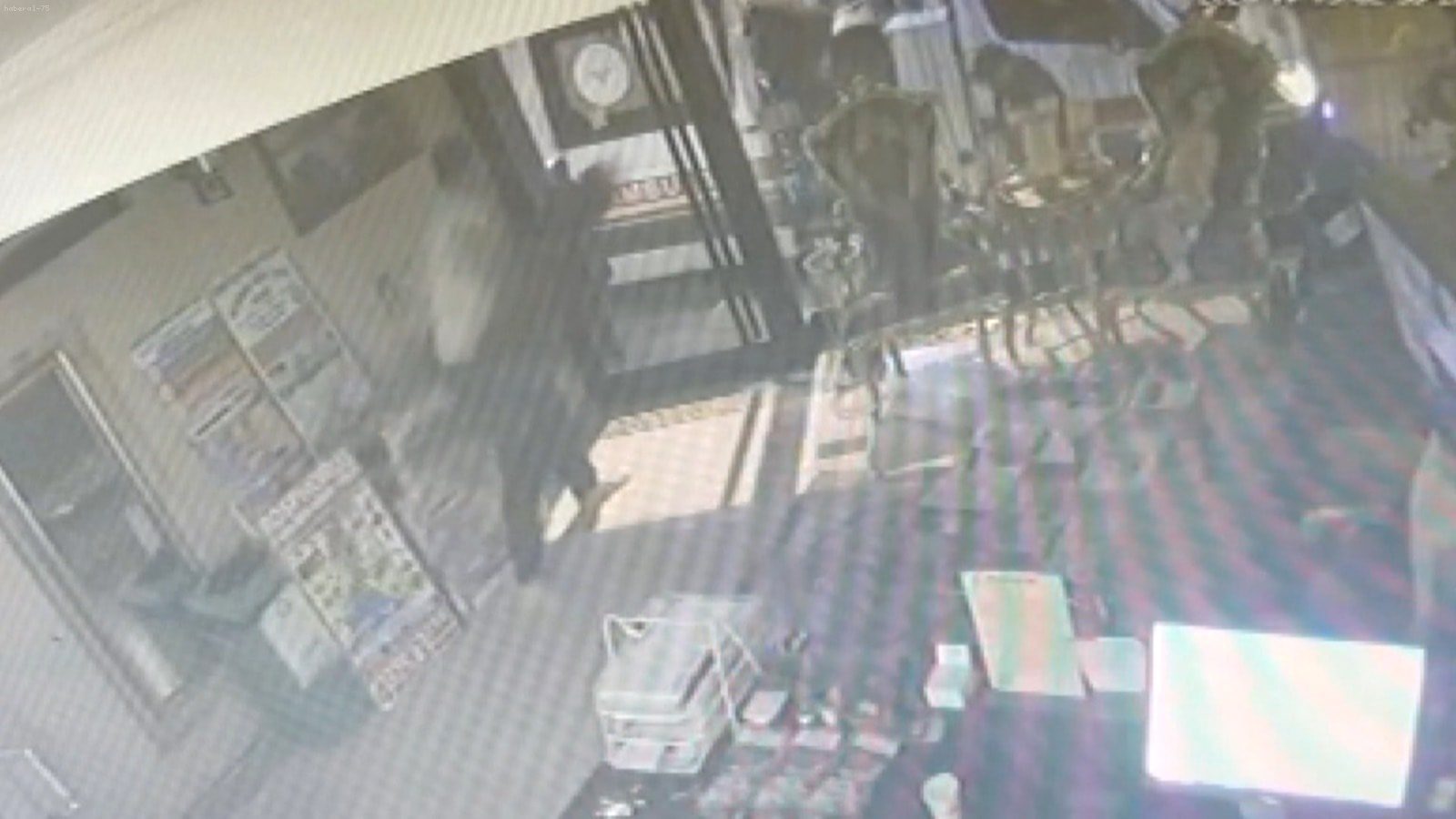 İstanbul'da Ölümcül 6 Dakika: Böcek Ailesinin Hastanedeki Dramı