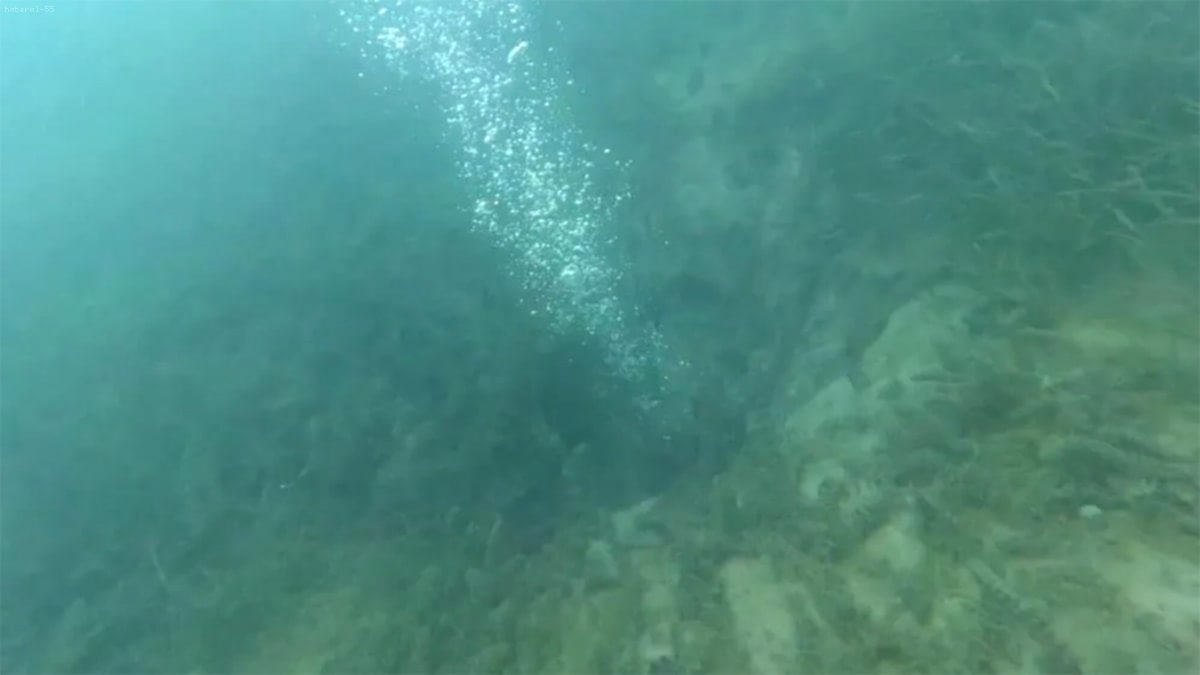 Serdivan Gölpark'ta Kaynama Alarmı! Uzmanlar Sebebi Araştırıyor