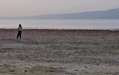 Kuraklık Alarmı: Sapanca Gölü’nde Acı Gerçek Gözler Önüne Serildi!