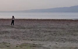 Kuraklık Alarmı: Sapanca Gölü’nde Acı Gerçek Gözler Önüne Serildi!