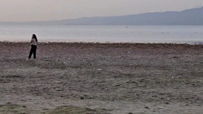 Kuraklık Alarmı: Sapanca Gölü’nde Acı Gerçek Gözler Önüne Serildi!