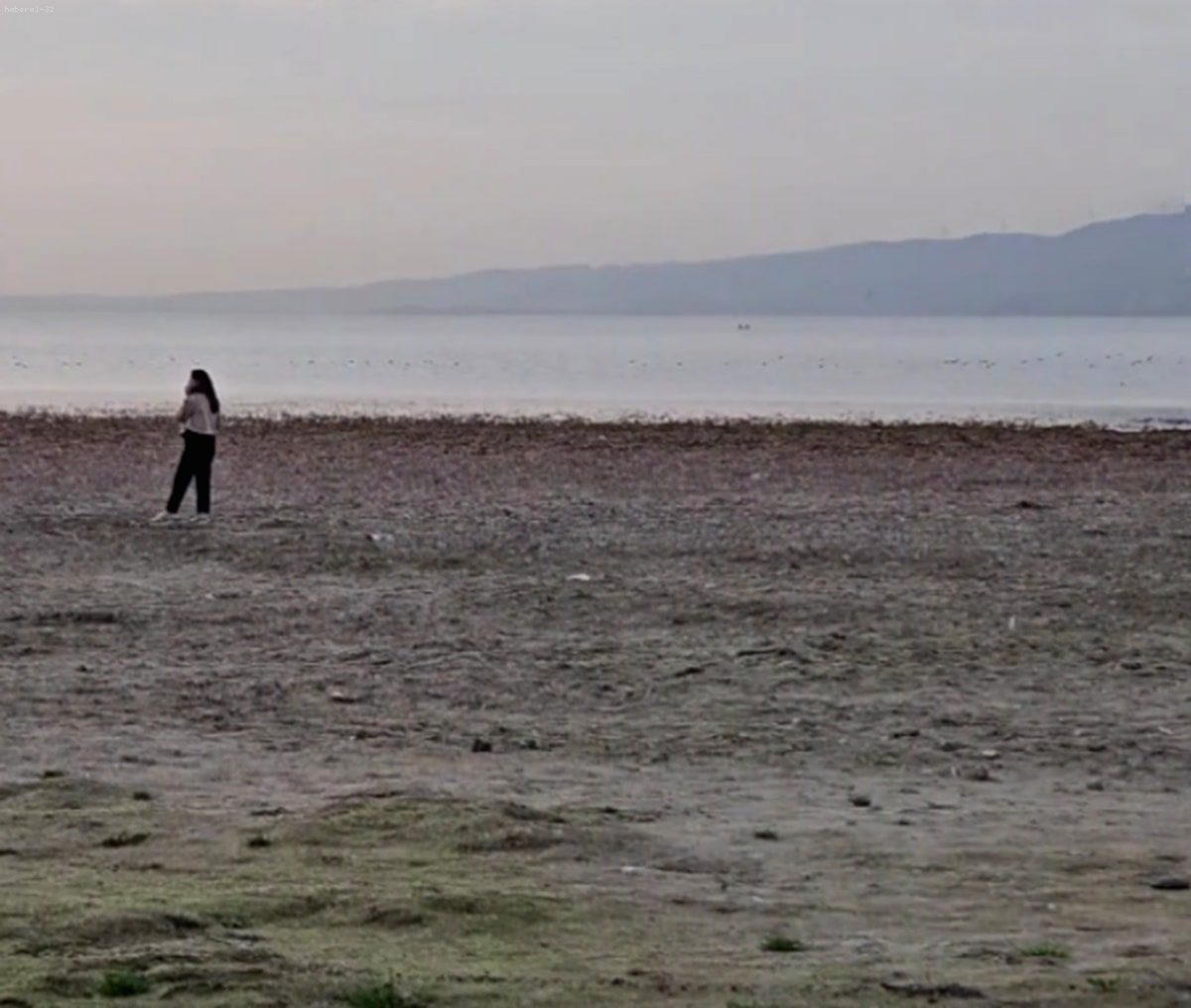 Kuraklık Alarmı: Sapanca Gölü’nde Acı Gerçek Gözler Önüne Serildi!