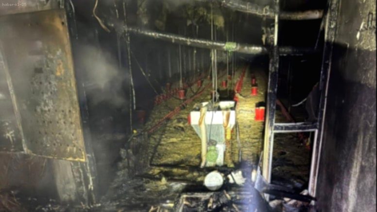 Balıkesir’de Tavuk Çiftliğinde Faci: Yangında 5 Bin Civciv Can Verdi