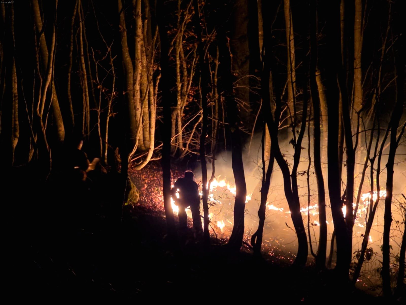 Ordu'da Kontrolden Çıkan Örtü Yangını Ormana Sıçradı