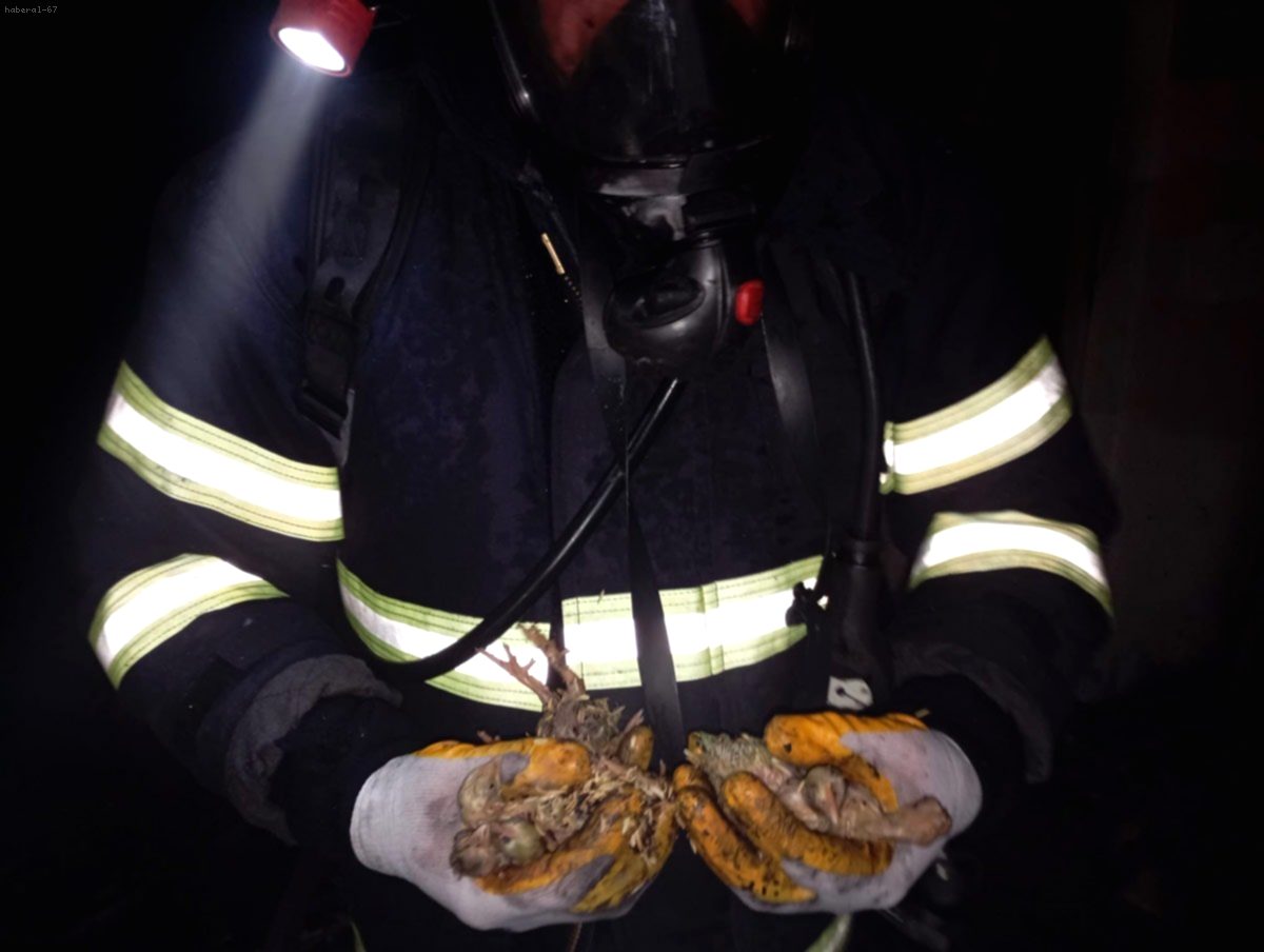 Balıkesir'de Tavuk Çiftliğinde Faci: Yangında 5 Bin Civciv Can Verdi