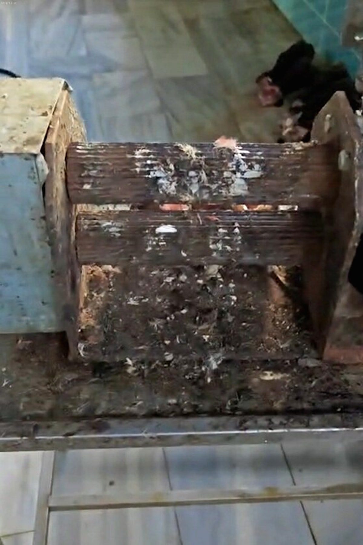 Çanakkale'de Mide Bulandıran Görüntüler: Halk Sağlığı Hiçe Sayıldı!