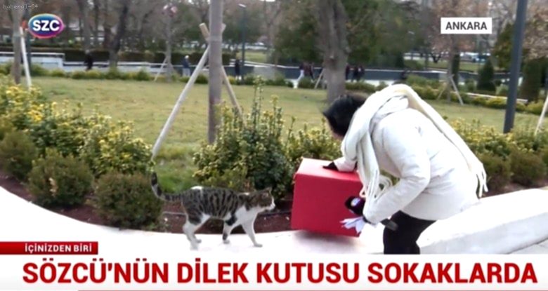 2026 Umutları SÖZCÜ Dilek Kutusunda Buluştu: Sağlık, Para ve Adalet Dilekleri Sokakları Sardı