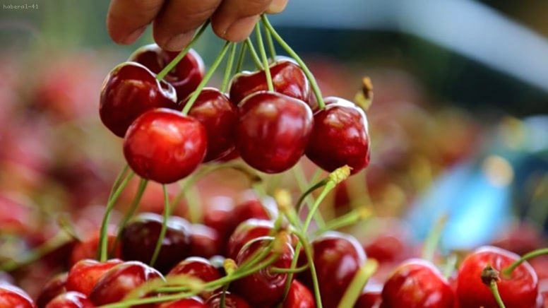 Japonya’da ‘2026’nın İlk Kirazı’ Rekor Fiyatla Satıldı: Kutu Fiyatına Lüks Otomobil!