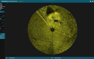 Ünlü Yönetmen Seren Yüce’ye Evinde Silahlı Saldırı: Kapsamlı Operasyonla Şüpheliler Yakalandı